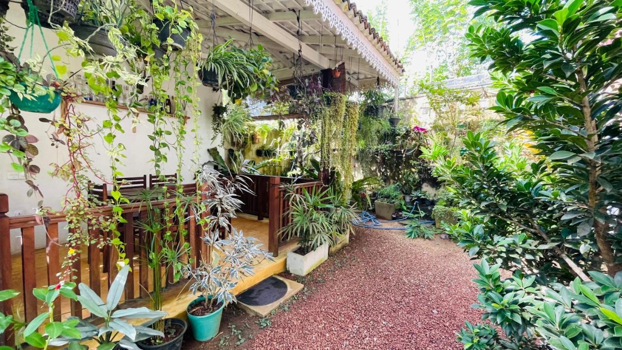 Bouganvilla House Унаватуна Экстерьер фото