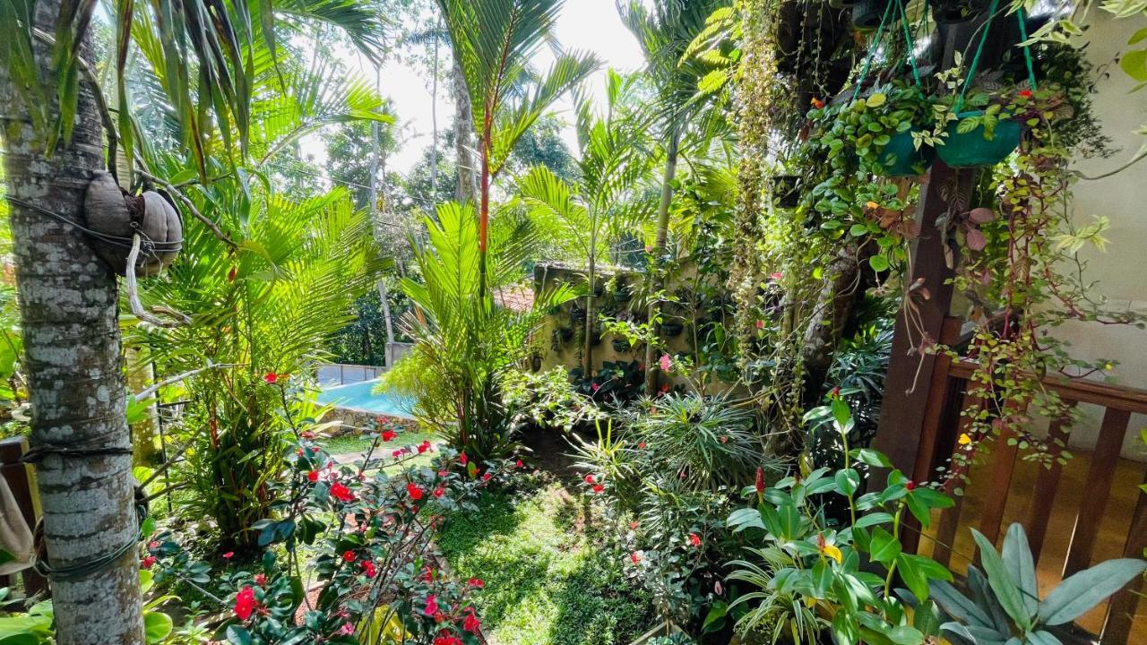 Bouganvilla House Унаватуна Экстерьер фото